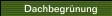 Dachbegrünung